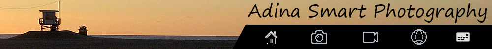 Main Banner